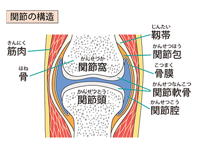 専門家による安全な施術
