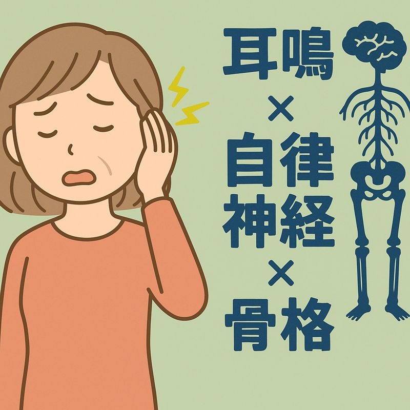 耳鳴りが治らない本当の理由 ―― 実は「自律神経」と「骨格の歪み」が深く関係しています